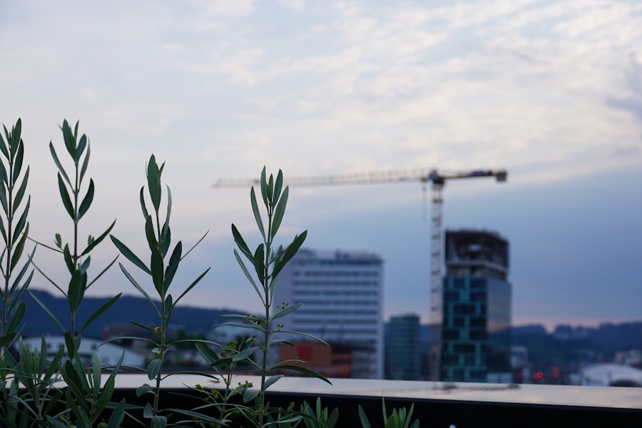 Photo cultural evolution