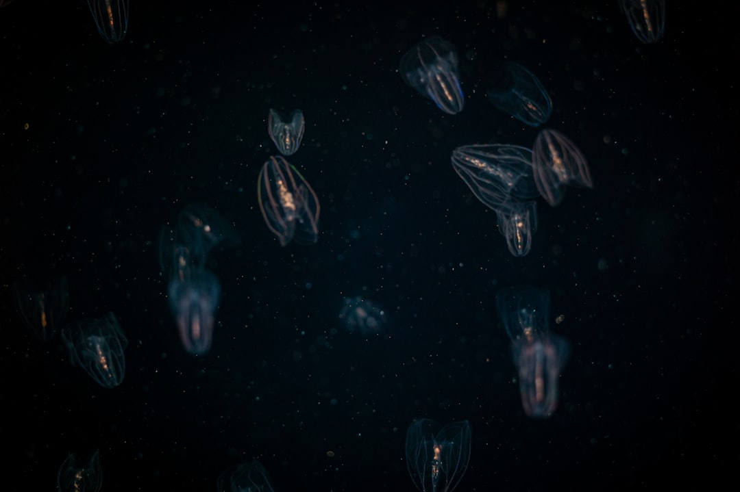 Photo interstellar migration