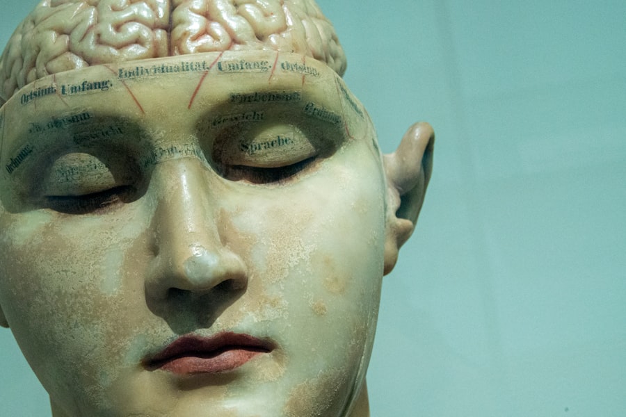 brain perception