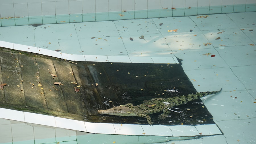 magnetic shield collapse