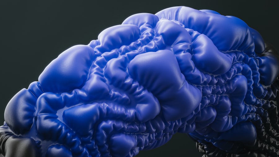 holonomic brain theory