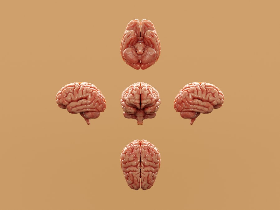 brain reconstructs memories