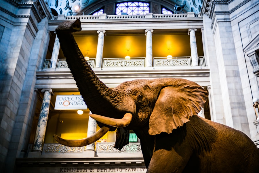 natural history museum piltdown scandal