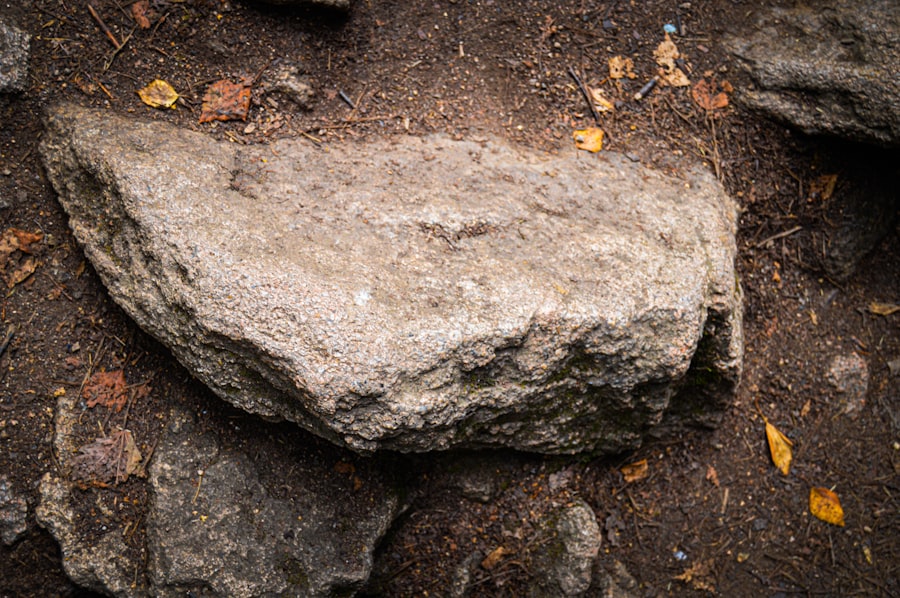 pierre teilhard de chardin piltdown