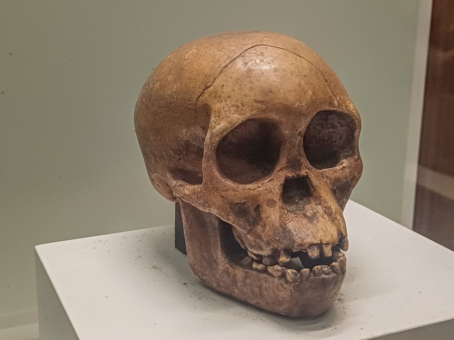 fakes in paleoanthropology