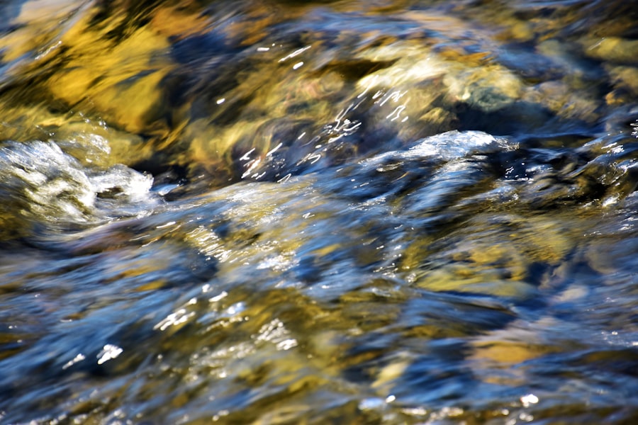 freshwater pulses
