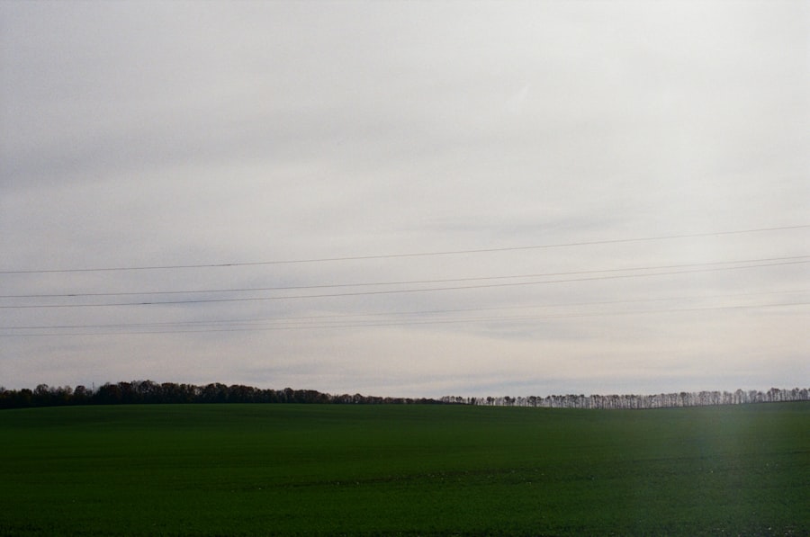 landmass