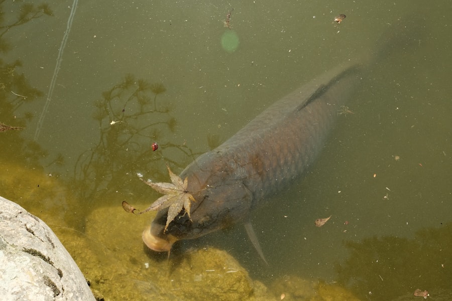 freshwater kill switch