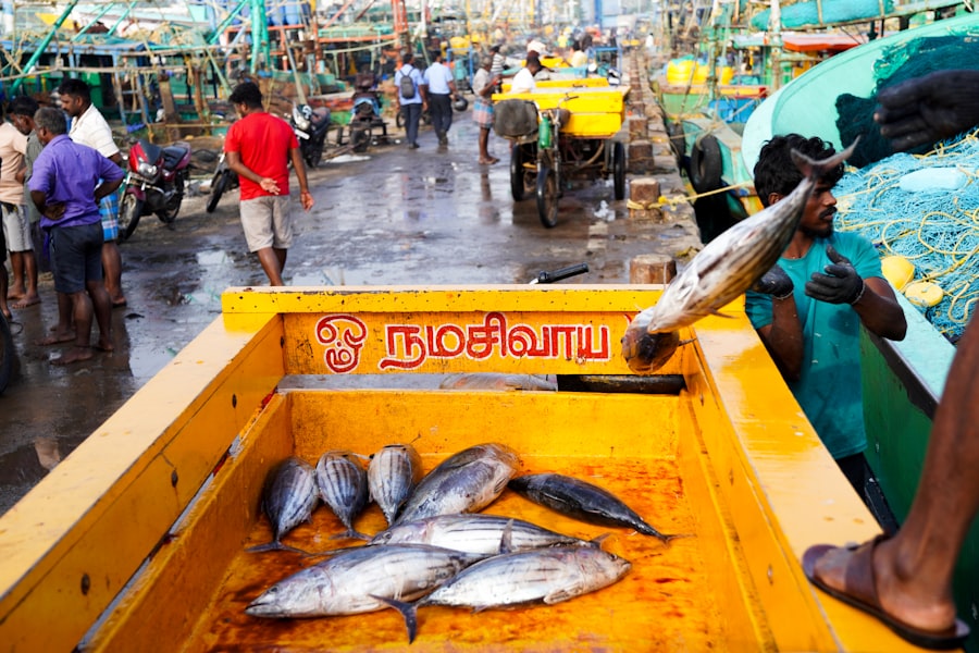 amoc collapse fisheries