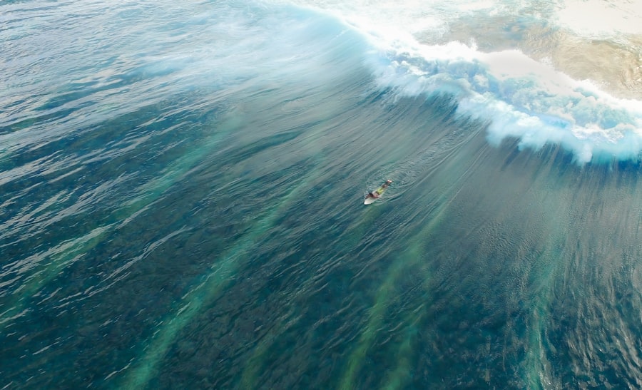 ocean current collapse