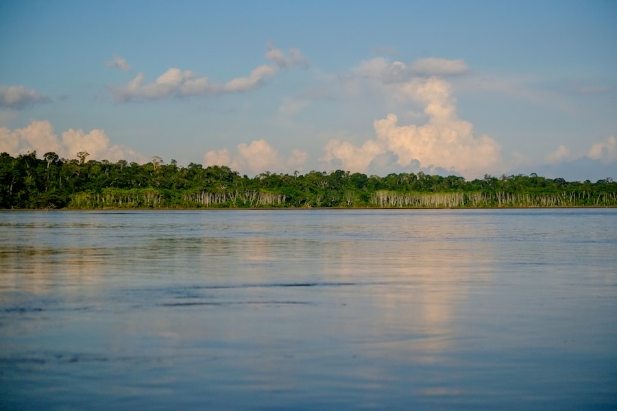 amazon rainforest drought