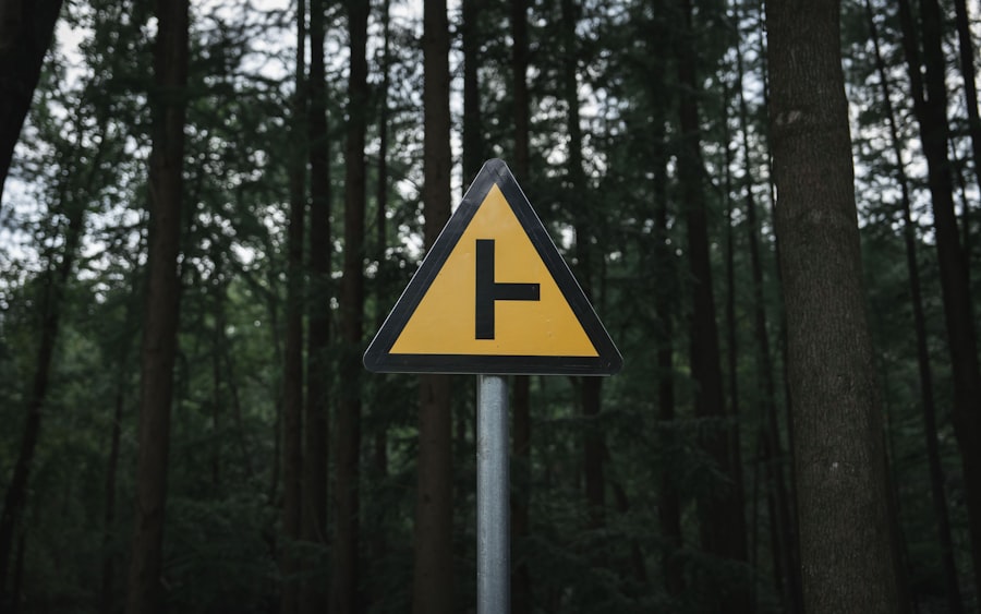 physics based early warning indicators amoc