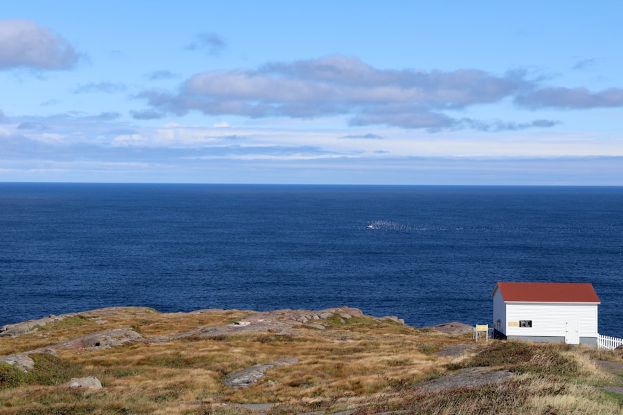 labrador sea deep water formation