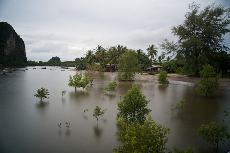 coastal flood risk