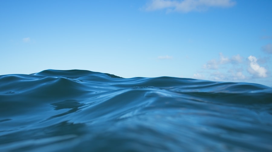 re-salting the ocean feasibility