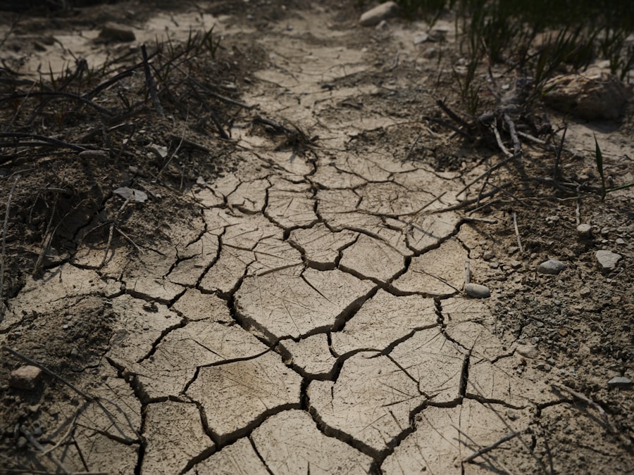 drought