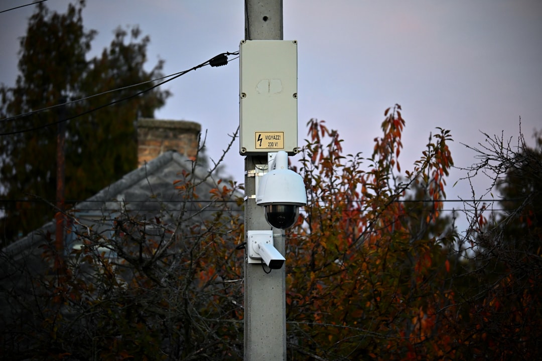 Photo power grids