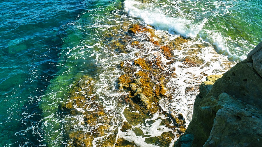 Photo ocean gateways southwest pacific circulation