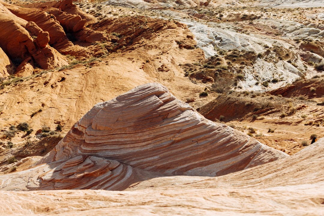 Photo geological metronome