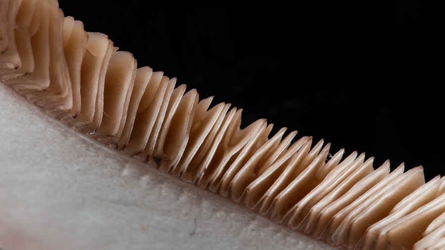 Photo elastic thickness