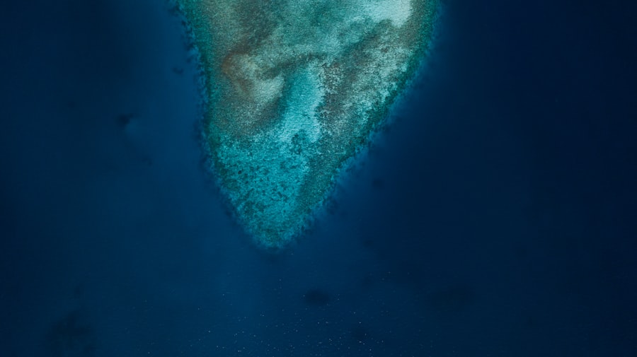 Photo deep sea mining