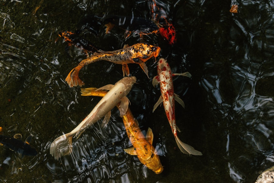 Photo freshwater kill switch
