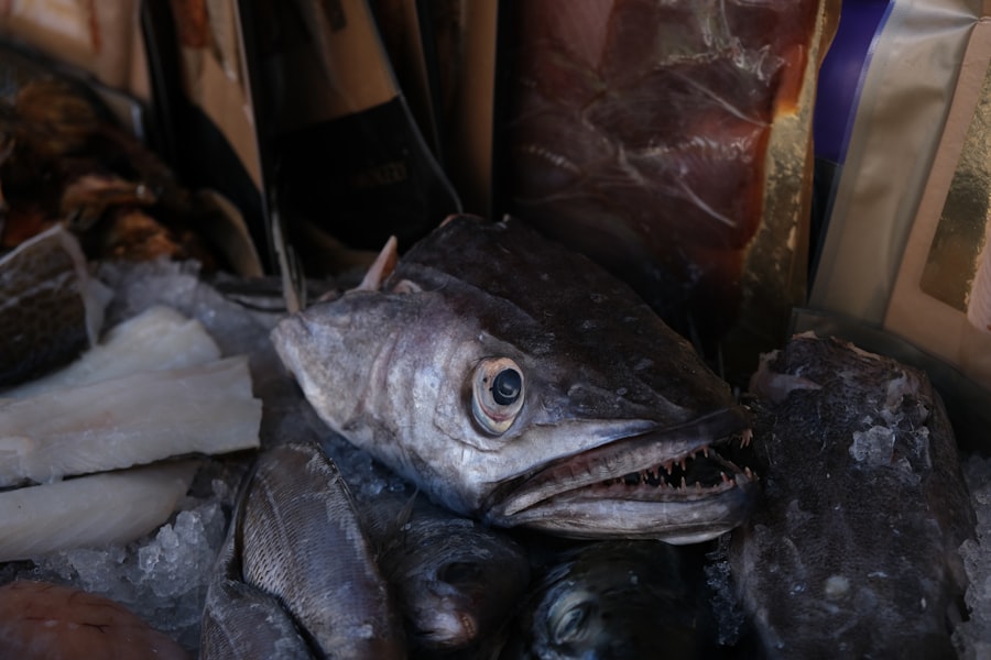 Photo amoc collapse fisheries