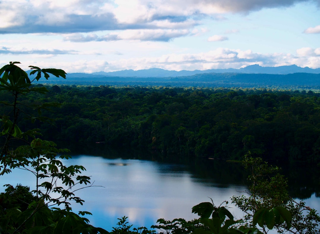 Photo amazon rainforest drought