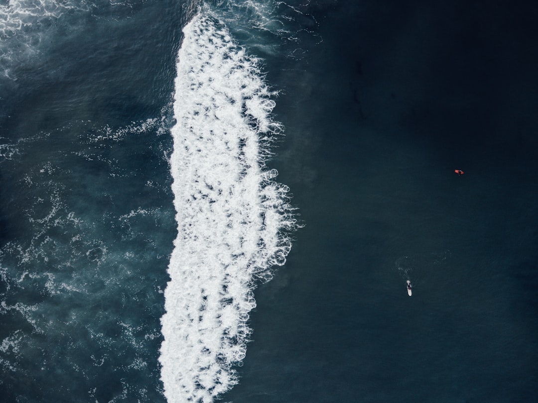 Photo ocean nutrient conveyor belt failure