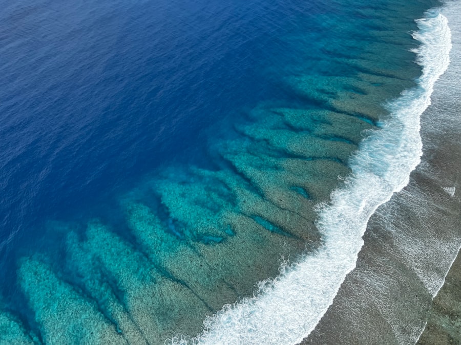 Photo ocean nutrient conveyor belt failure