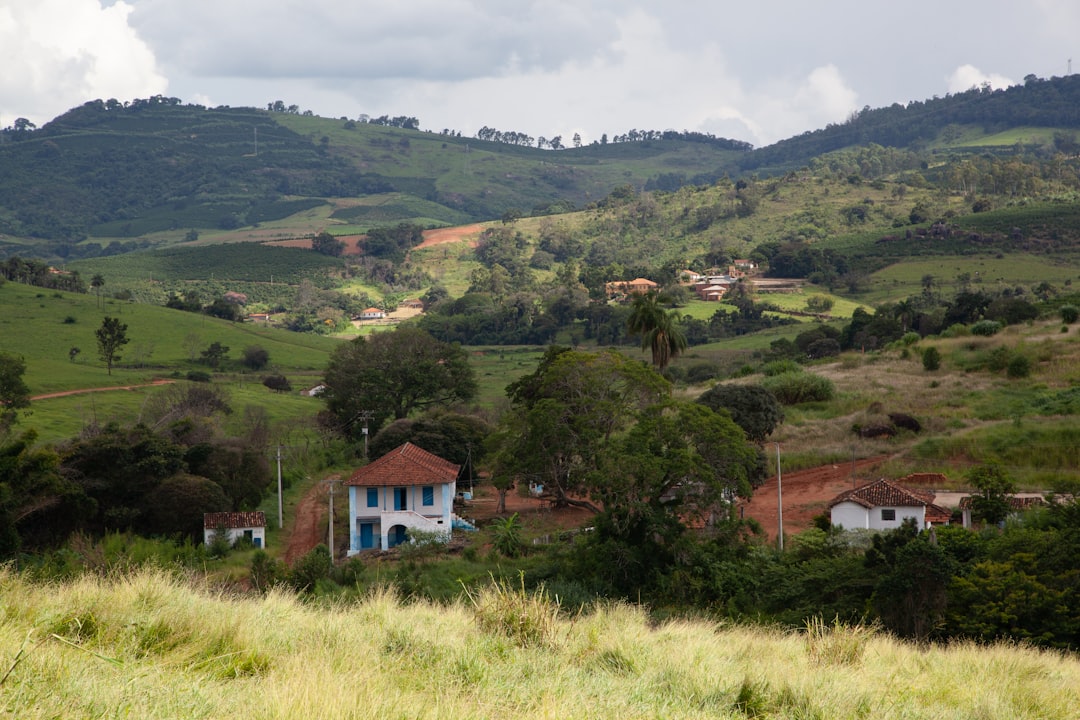 Photo brazil soy production