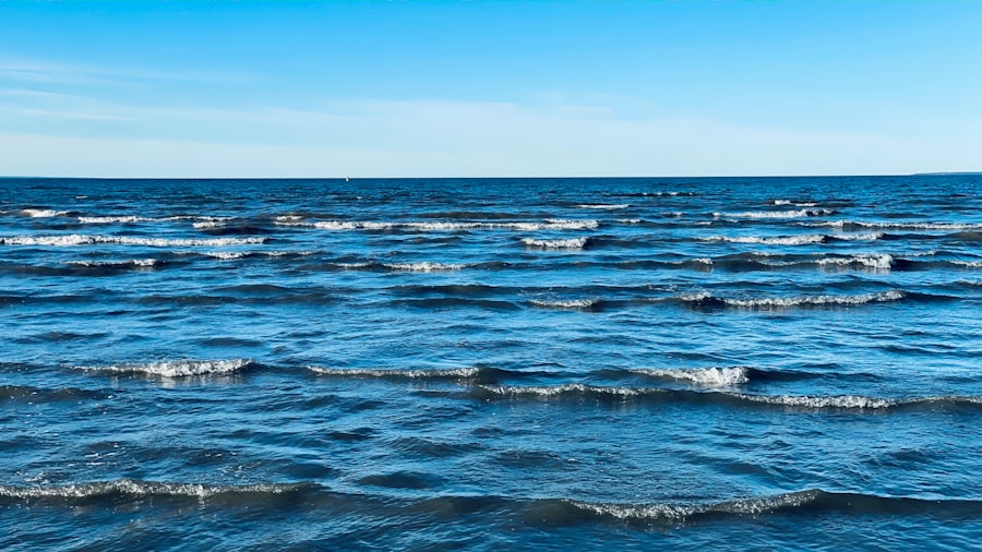 Photo ocean acidification