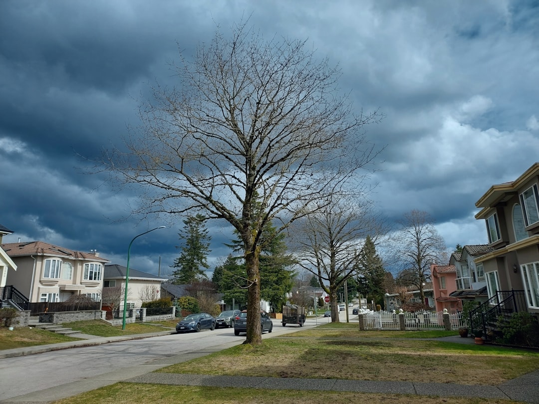 Photo weatherizing homes