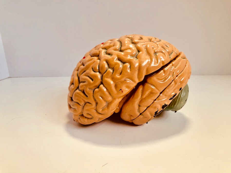 Photo brain perception