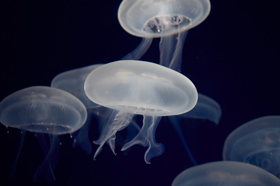 Photo science mysteries