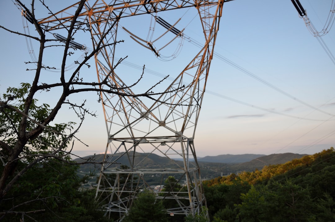 Photo power grid vulnerability