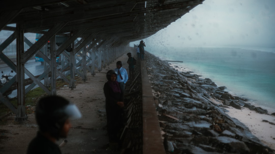 Photo resilience infrastructure