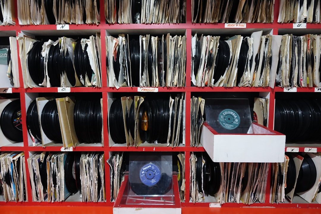 Photo paleomagnetic records