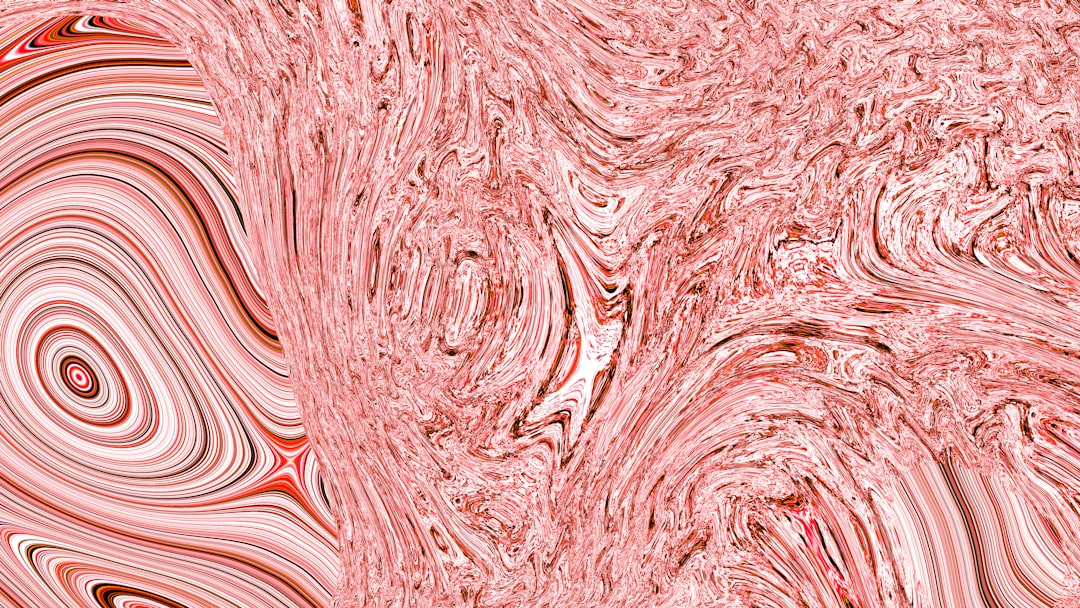 Photo hippocampal ripples