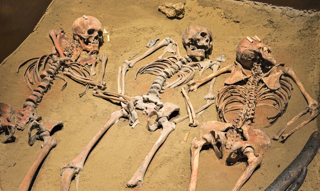 Photo paleoanthropology