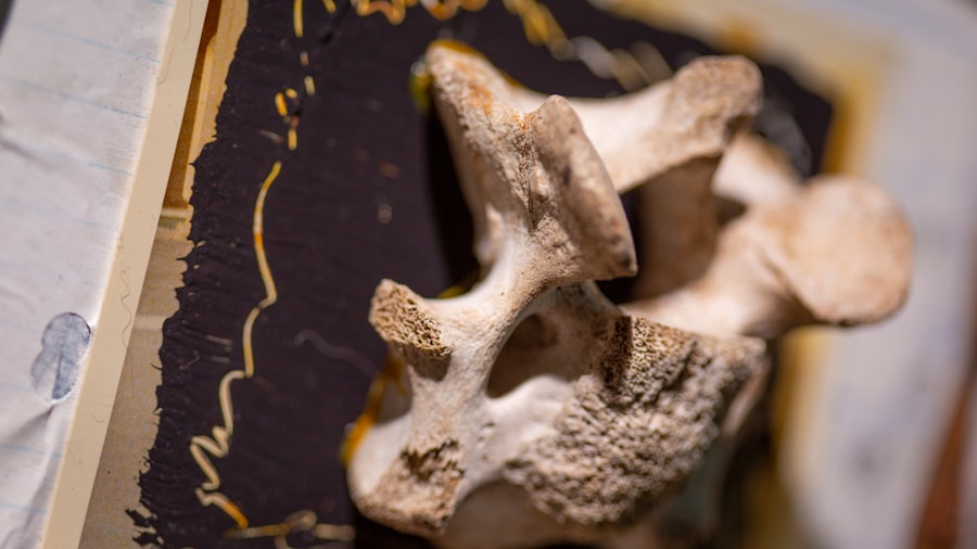 Photo forensics, fossils