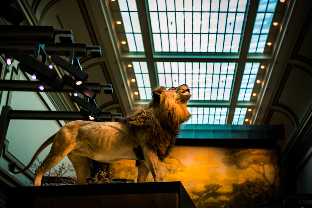 Photo natural history museum piltdown scandal