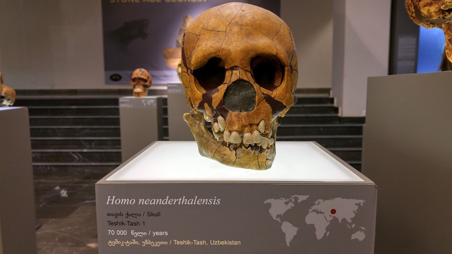 Photo fakes in paleoanthropology