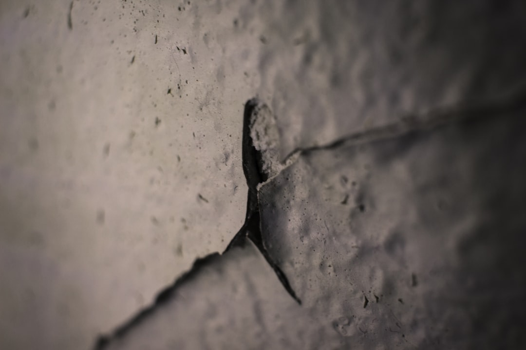 Photo earthquake precursor
