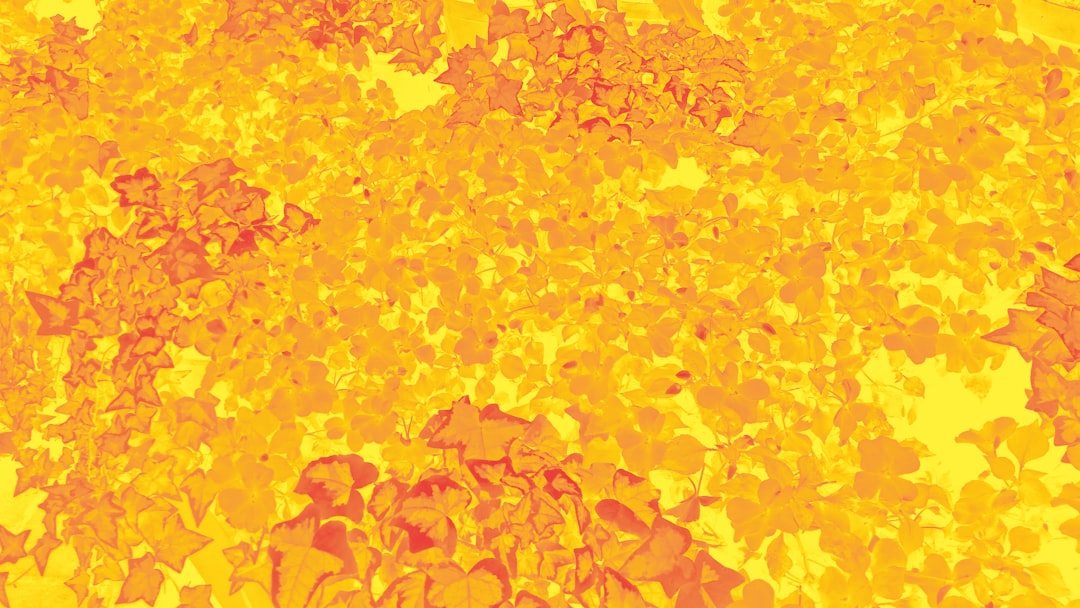 Photo solar flare effects