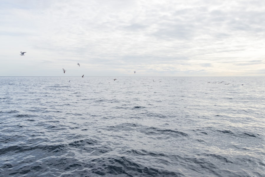 Photo ocean monitoring data