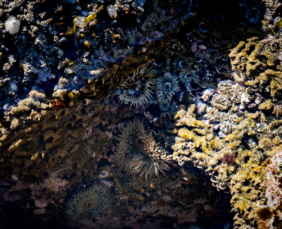 Photo ocean currents