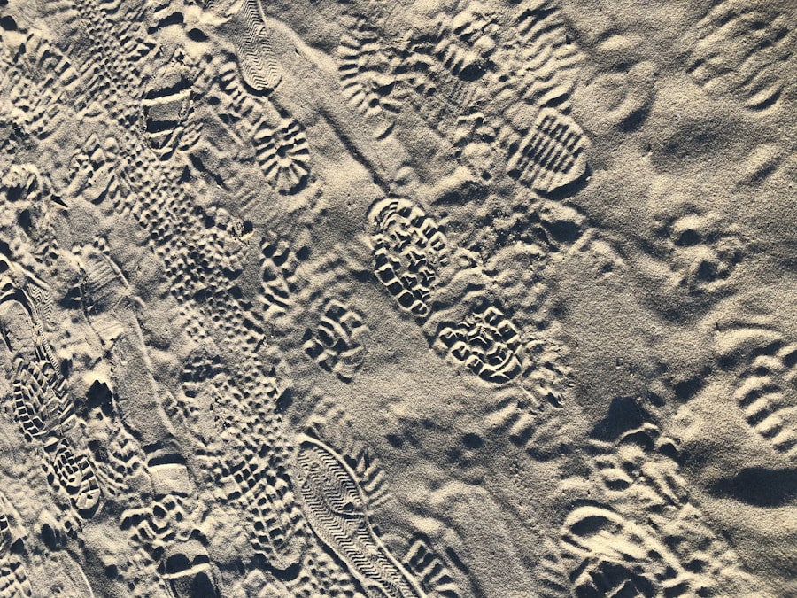 Photo hurricane tracks