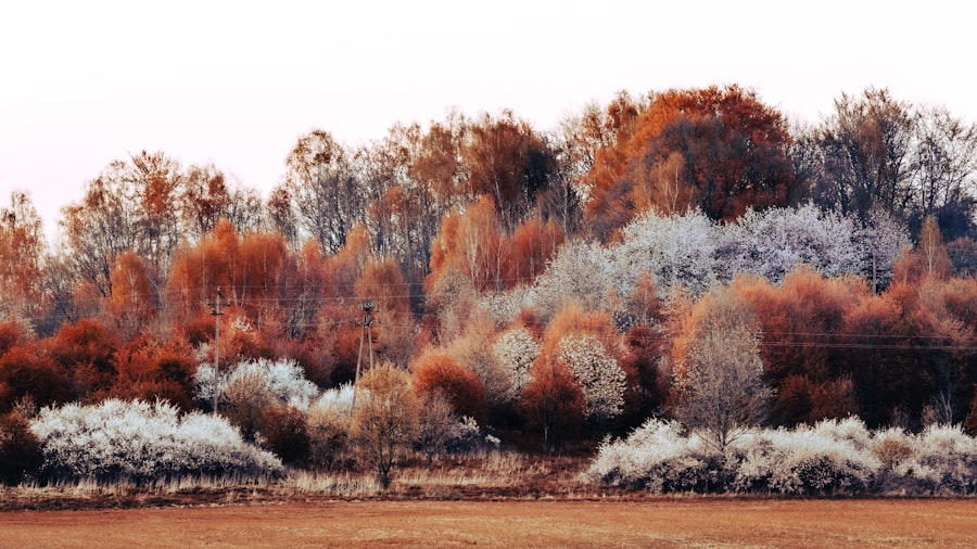 Photo paleoclimate amoc collapse events