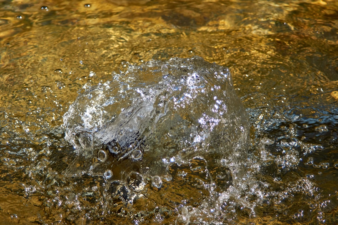 Photo freshwater pulses